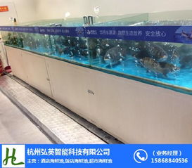 杭州飯店魚缸 弘英科技 飯店魚缸制作